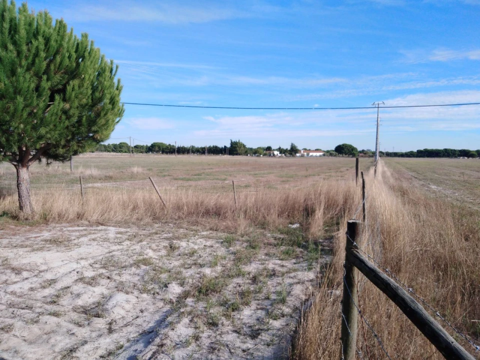 Quinta T3 para Venda em Grândola e Santa Margarida da Serra Foto 5