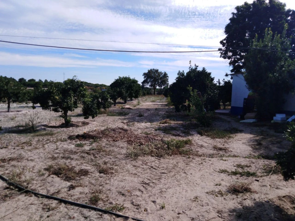 Quinta T3 para Venda em Grândola e Santa Margarida da Serra Foto 6