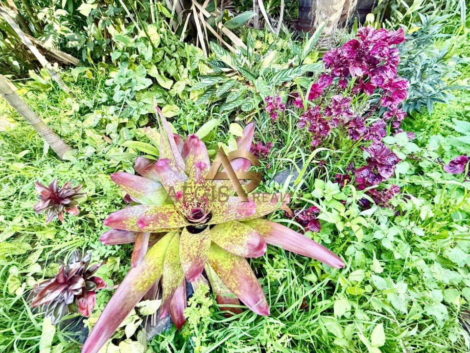 Moradia T3 para Venda em Santo Antonio Foto 18