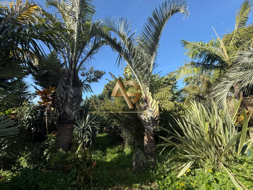 Moradia T3 para Venda em Santo Antonio Foto 10