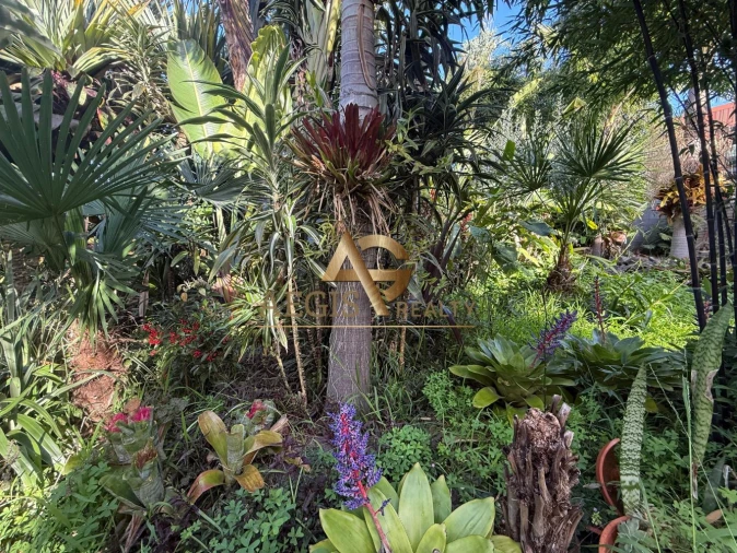 Moradia T3 para Venda em Santo Antonio Foto 20