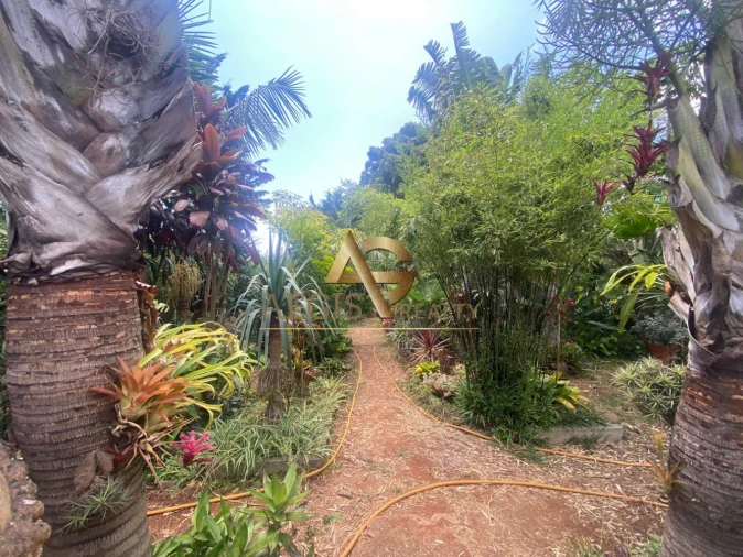 Moradia T3 para Venda em Santo Antonio Foto 2