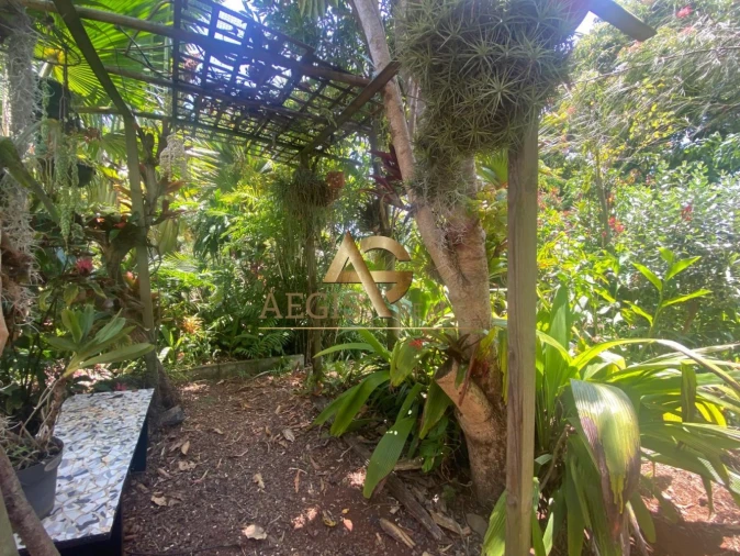 Moradia T3 para Venda em Santo Antonio Foto 5