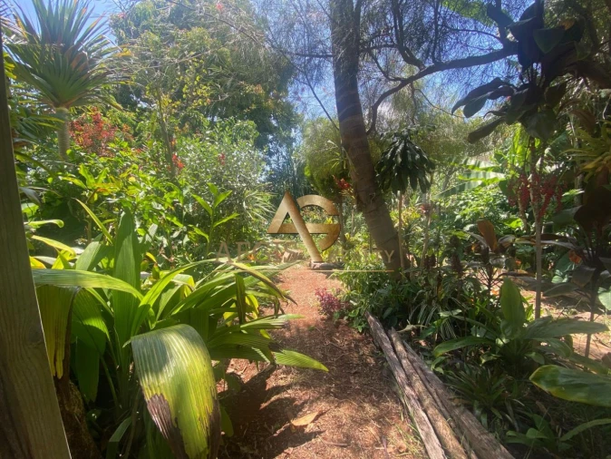 Moradia T3 para Venda em Santo Antonio Foto 3