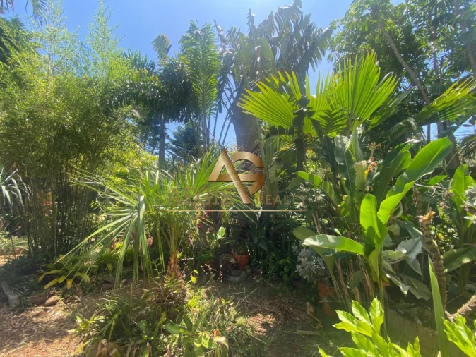 Moradia T3 para Venda em Santo Antonio Foto 4