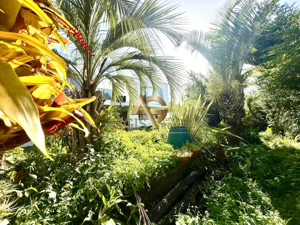 Moradia T3 para Venda em Santo Antonio Foto 3