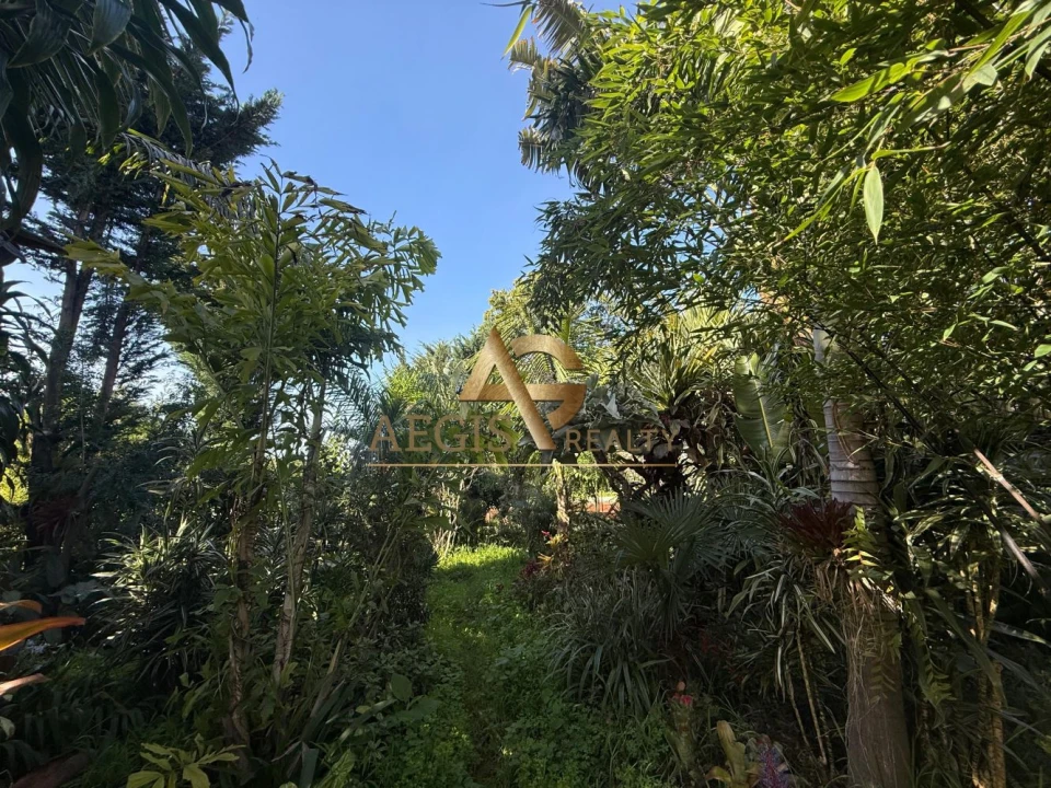 Moradia T3 para Venda em Santo Antonio Foto 19