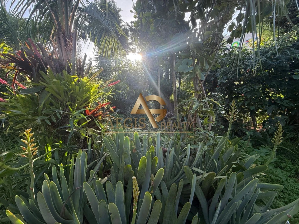 Moradia T3 para Venda em Santo Antonio Foto 22