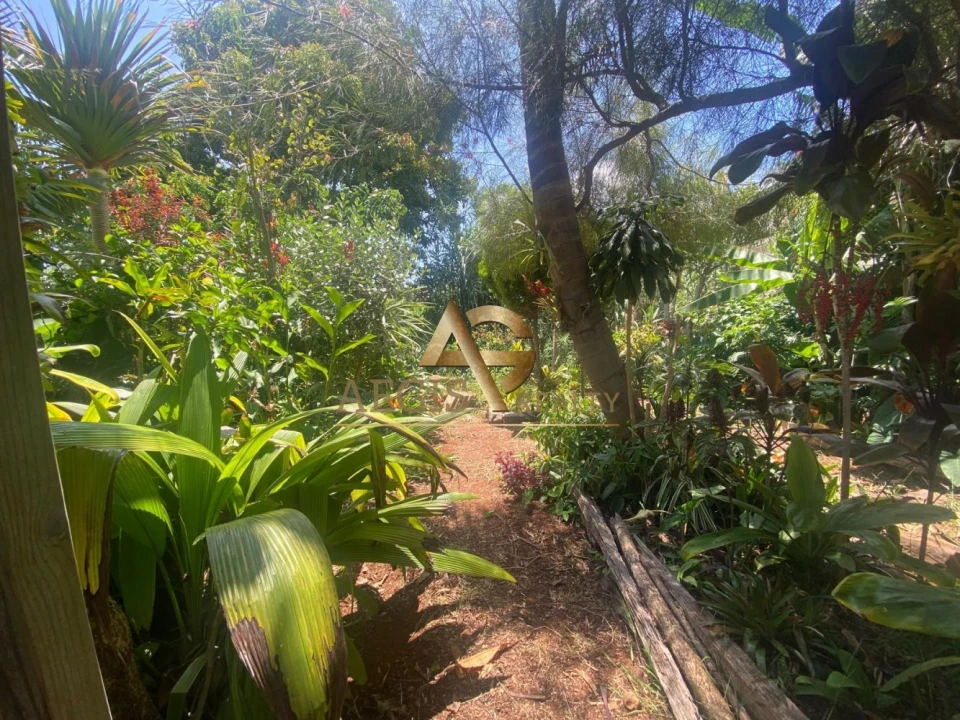 Moradia T3 para Venda em Santo Antonio Foto 3