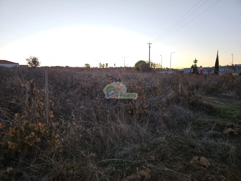 Terreno para Venda em Reguengos de Monsaraz Foto 14