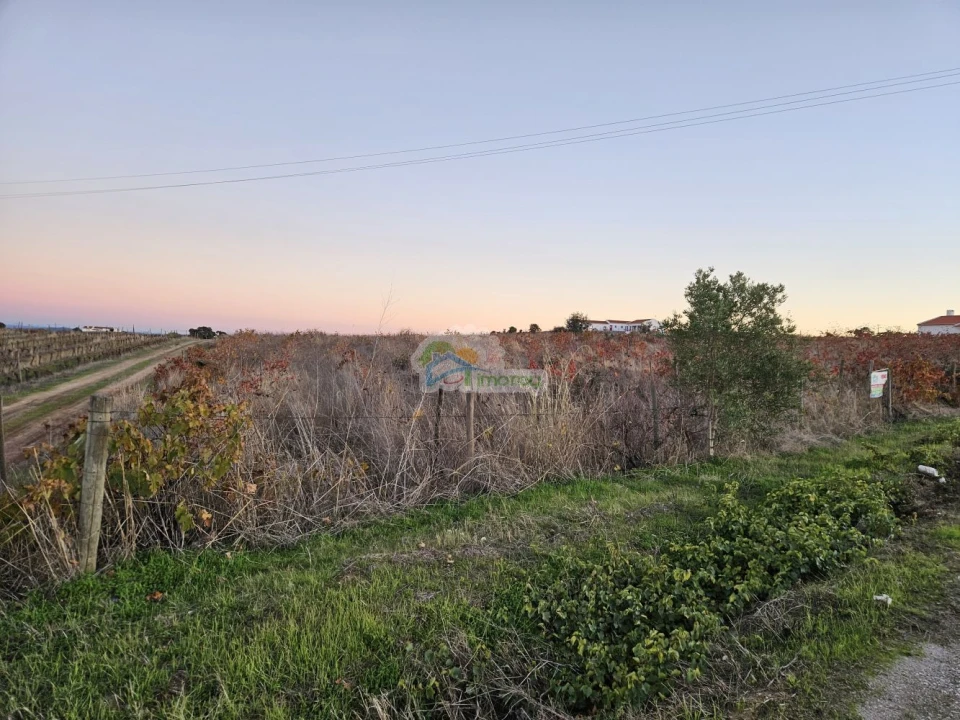 Terreno para Venda em Reguengos de Monsaraz Foto 2