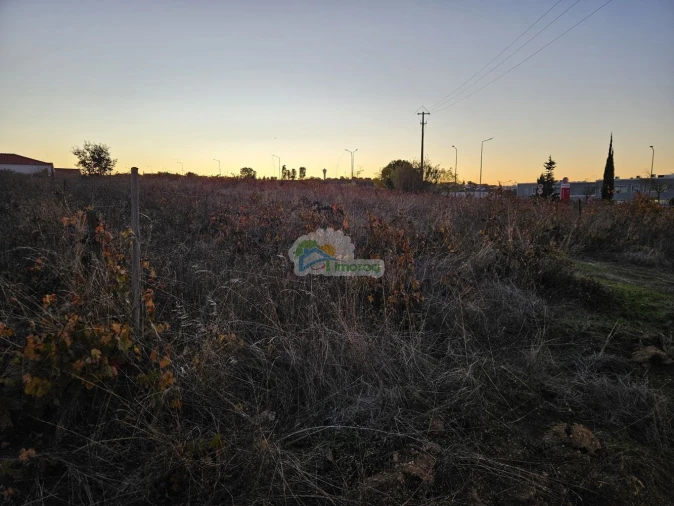 Terreno para Venda em Reguengos de Monsaraz Foto 13