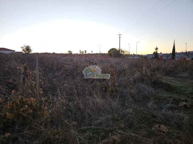 Terreno para Venda em Reguengos de Monsaraz Foto 14