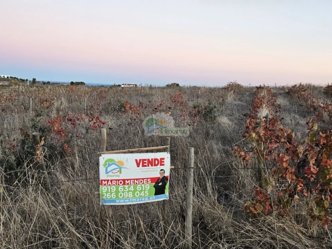 Terreno para Venda em Reguengos de Monsaraz Foto 1