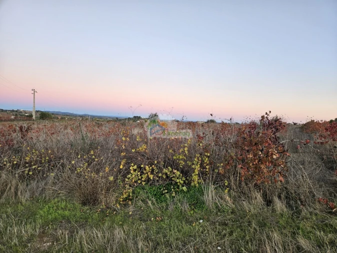 Terreno para Venda em Reguengos de Monsaraz Foto 6