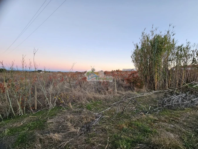 Terreno para Venda em Reguengos de Monsaraz Foto 5
