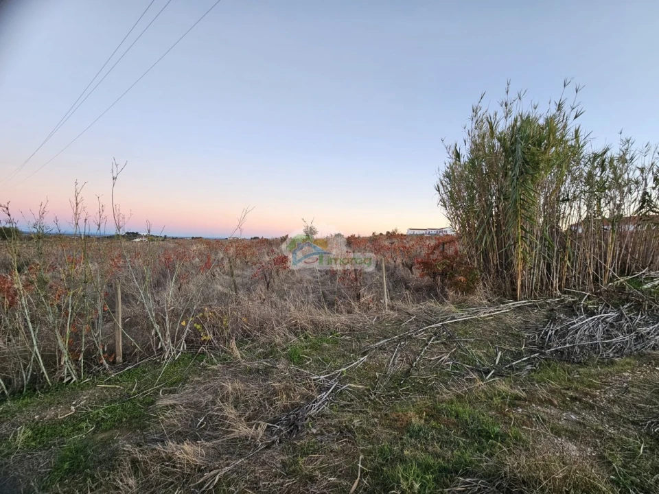 Terreno para Venda em Reguengos de Monsaraz Foto 5