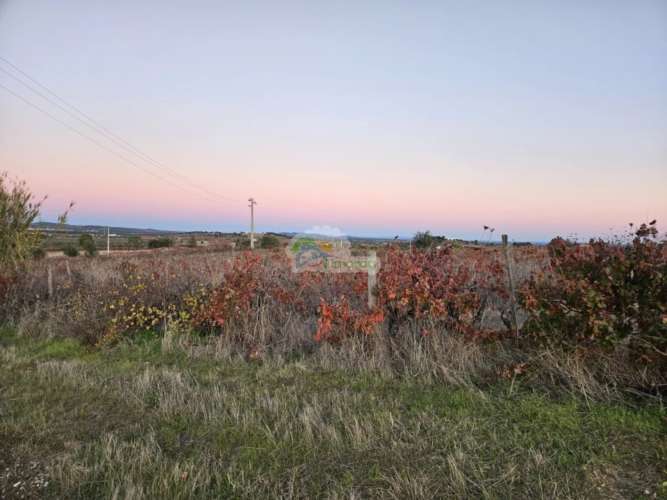 Terreno para Venda em Reguengos de Monsaraz Foto 7