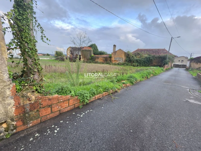 Terreno para Venda em Alquerubim Foto 19