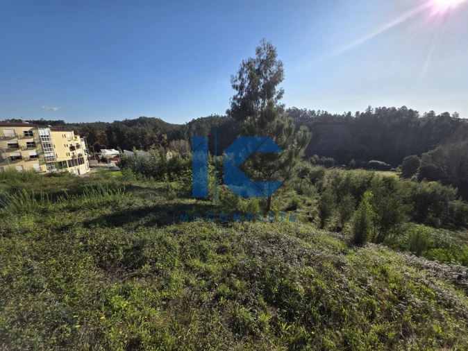 Terreno para Venda em Águeda e Borralha
