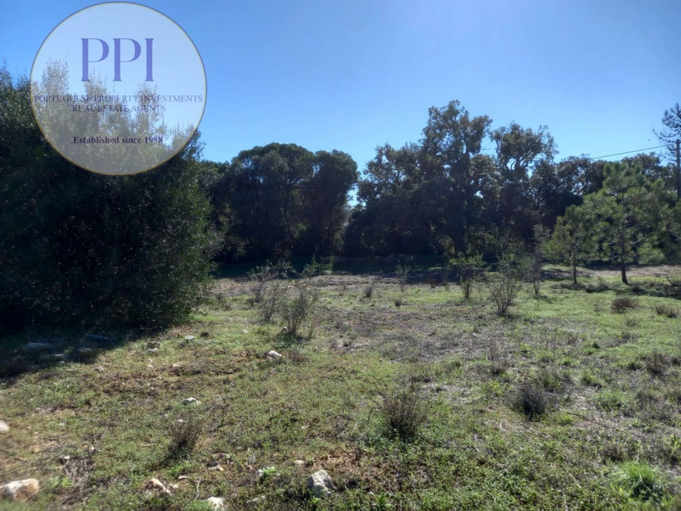Terreno para Venda em Barão de São Miguel Foto 2