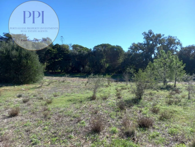 Terreno para Venda em Barão de São Miguel Foto 5