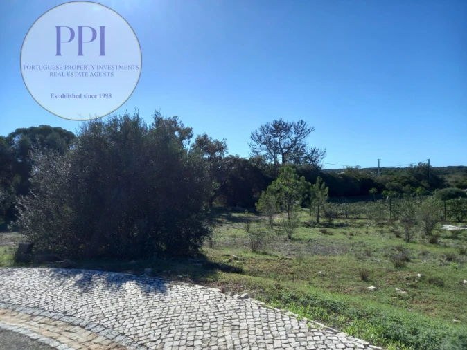 Terreno para Venda em Barão de São Miguel Foto 4