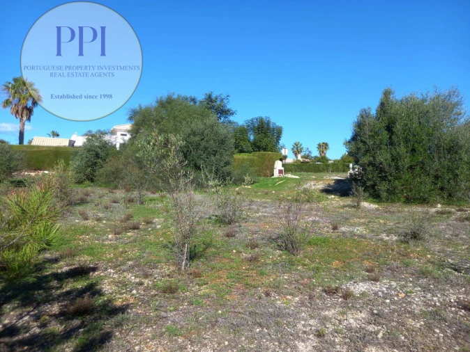 Terreno para Venda em Barão de São Miguel Foto 9