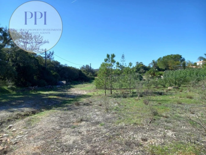 Terreno para Venda em Barão de São Miguel Foto 7