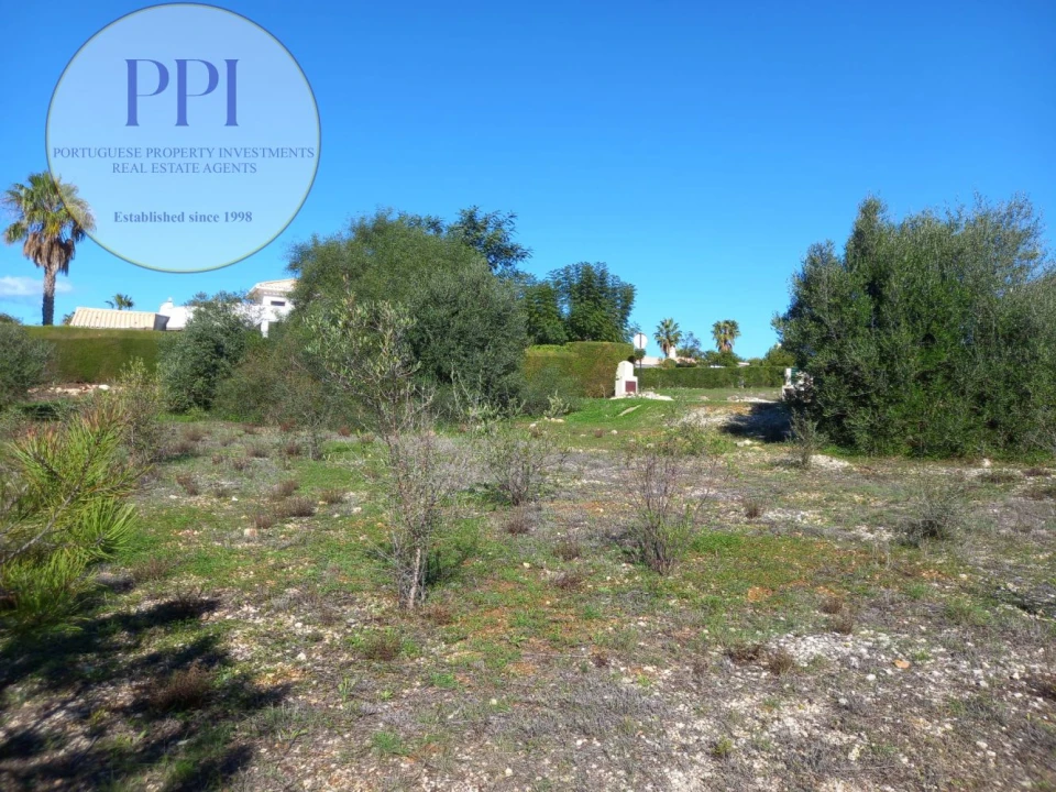 Terreno para Venda em Barão de São Miguel Foto 9