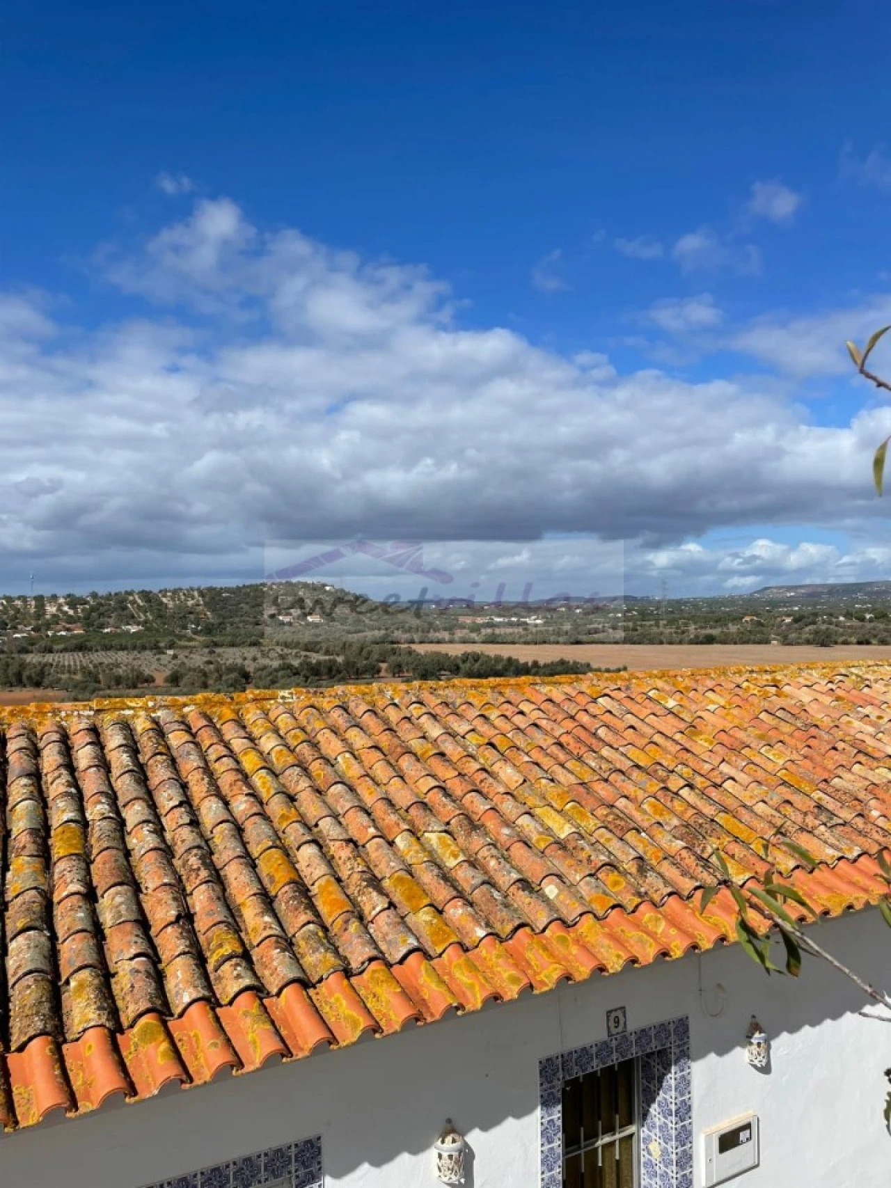 Terreno para Venda em Paderne Foto 2