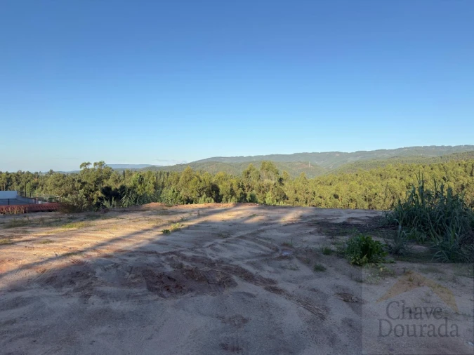 Terreno para Venda em Eiras e São Paulo de Frades Foto 9