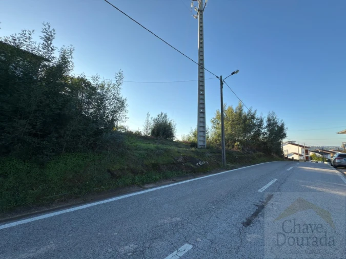 Terreno para Venda em Eiras e São Paulo de Frades Foto 2