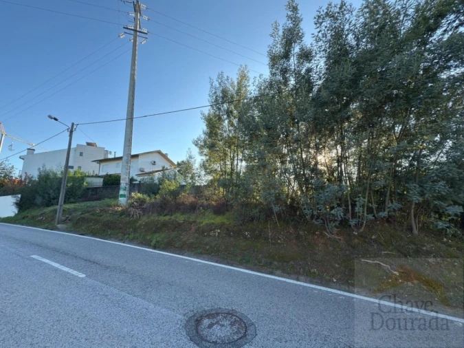Terreno para Venda em Eiras e São Paulo de Frades Foto 1