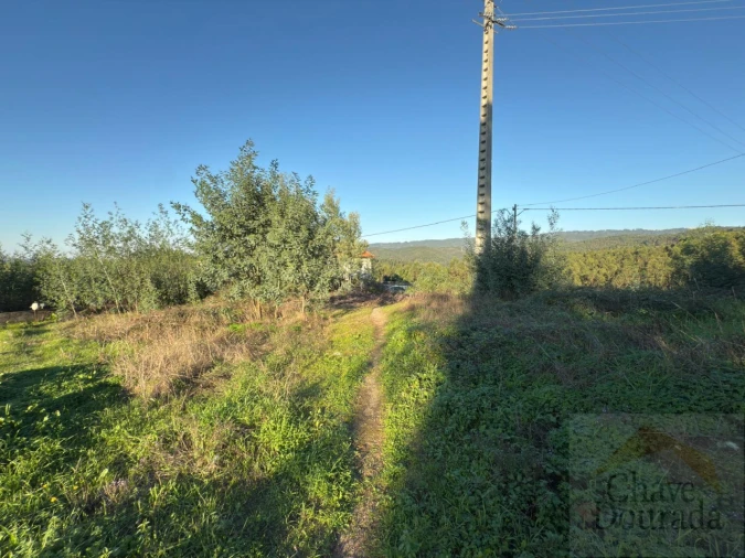 Terreno para Venda em Eiras e São Paulo de Frades Foto 3