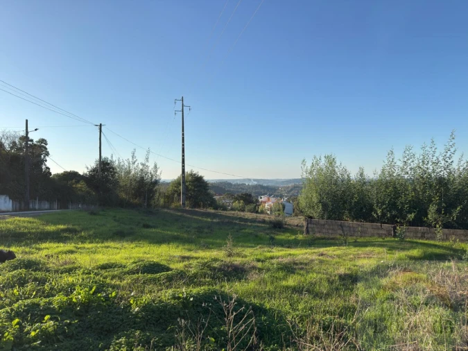 Terreno para Venda em Eiras e São Paulo de Frades Foto 8