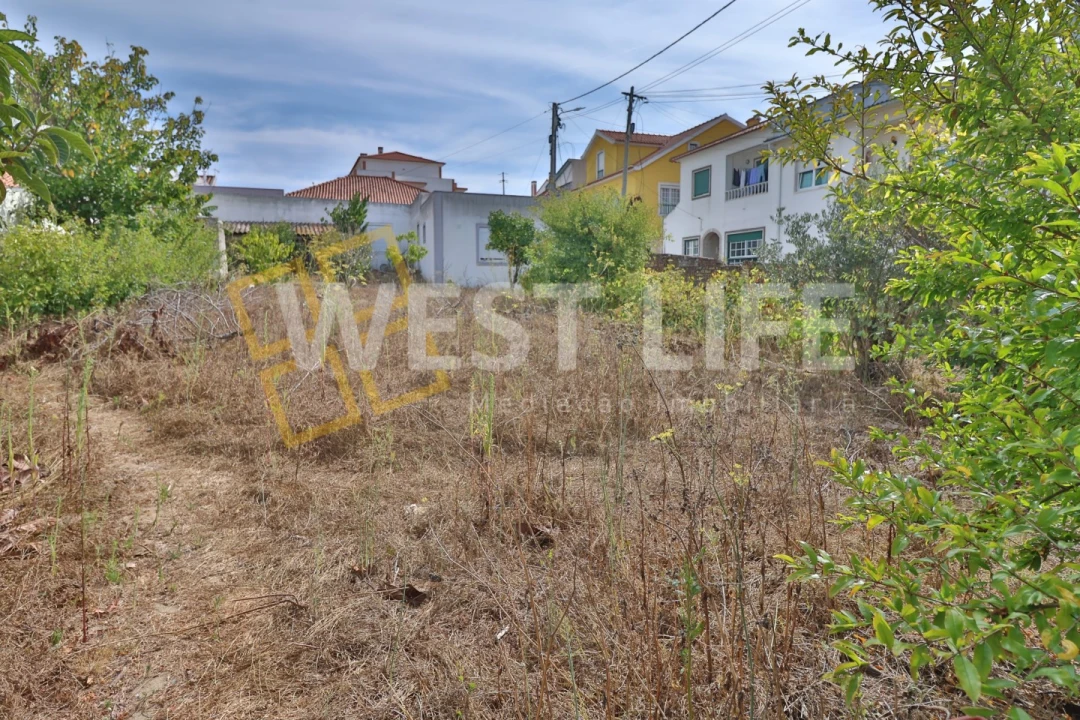 Moradia T3 para Venda em São Pedro da Cadeira Foto 35