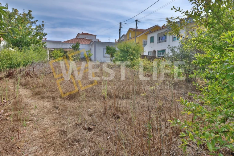 Moradia T3 para Venda em São Pedro da Cadeira Foto 35