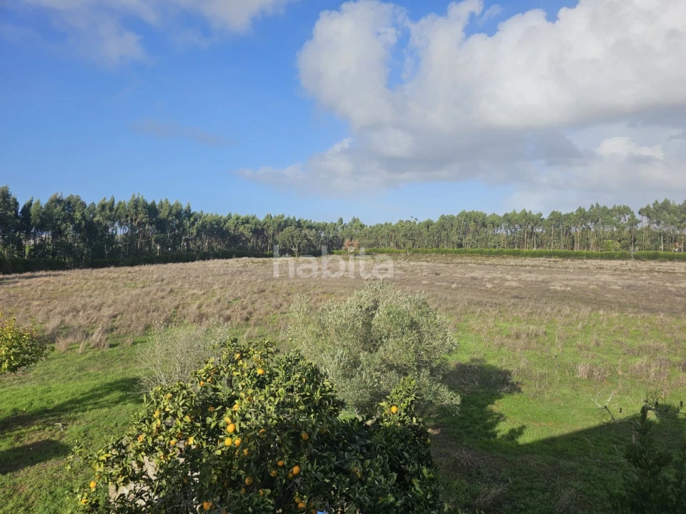Quinta T2 para Venda em Cercal Foto 15