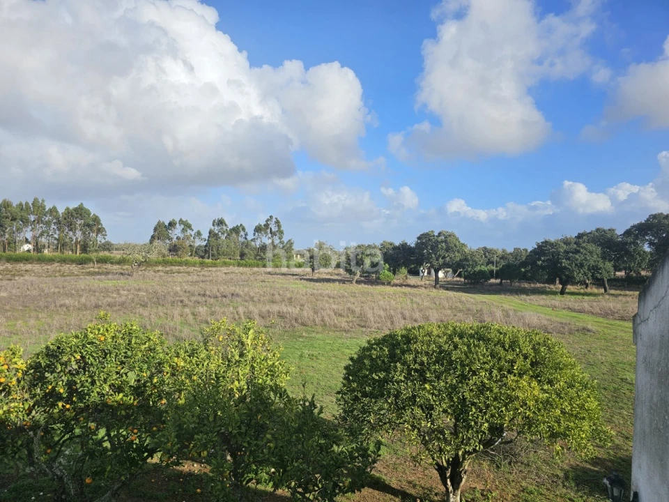 Quinta T2 para Venda em Cercal Foto 18