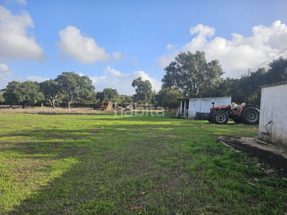 Quinta T2 para Venda em Cercal Foto 2