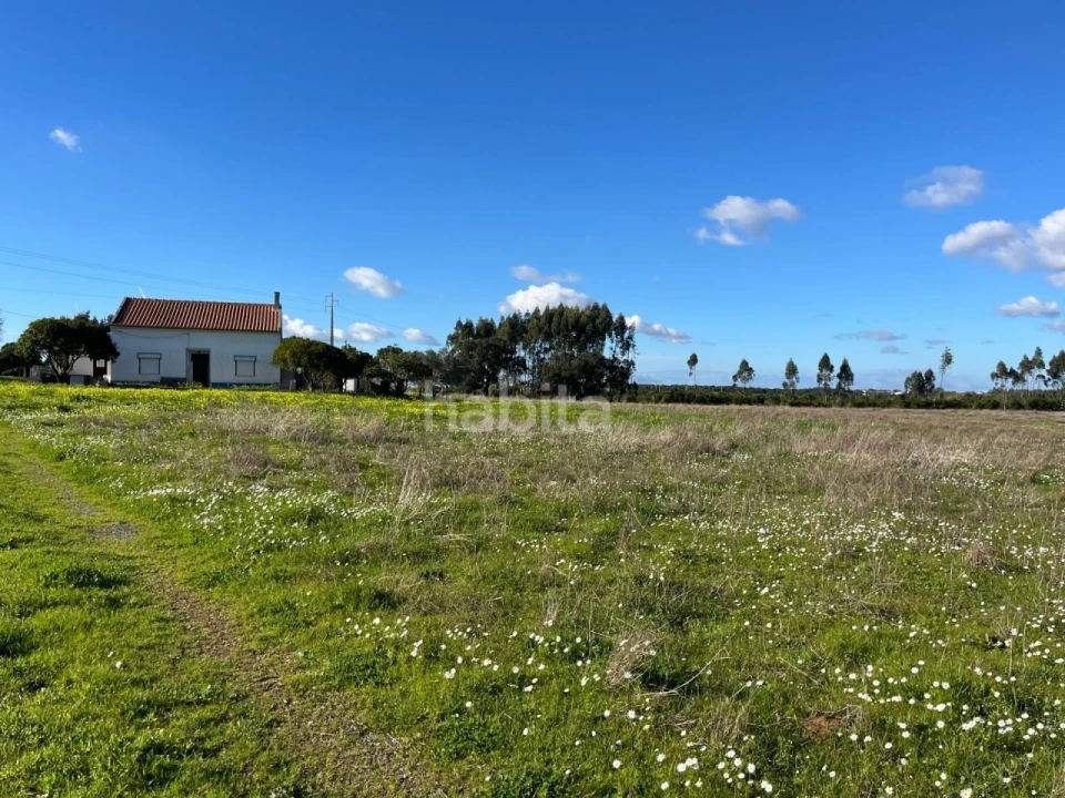 Quinta T2 para Venda em Cercal Foto 6