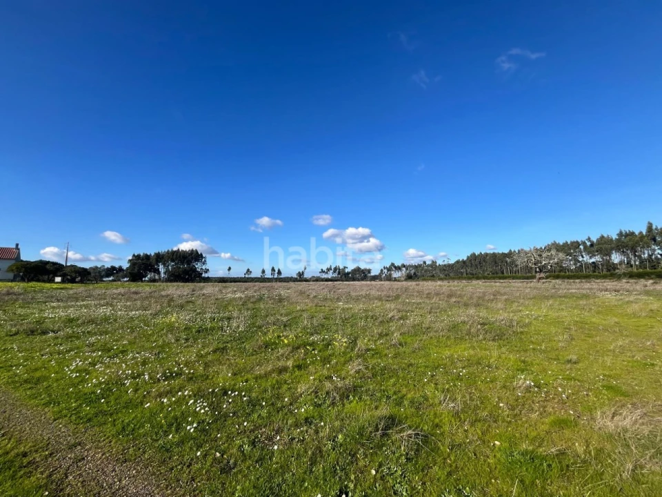 Quinta T2 para Venda em Cercal Foto 10