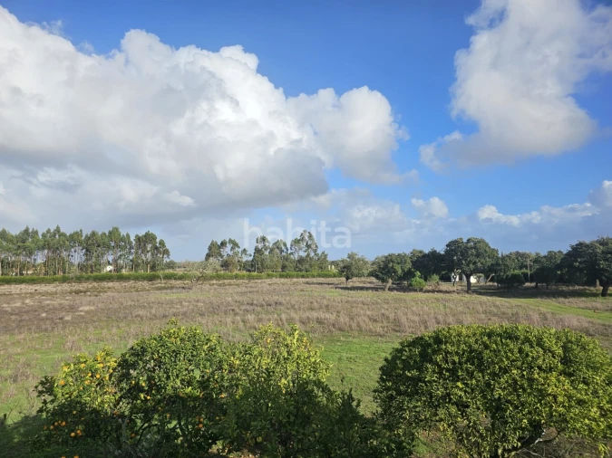 Quinta T2 para Venda em Cercal Foto 16