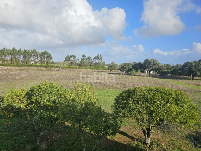 Quinta T2 para Venda em Cercal Foto 17