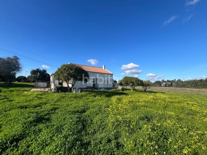 Quinta T2 para Venda em Cercal Foto 4