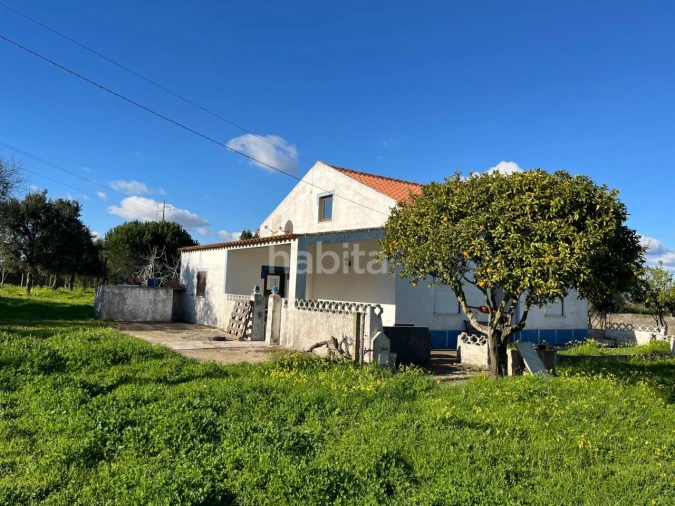 Quinta T2 para Venda em Cercal Foto 7