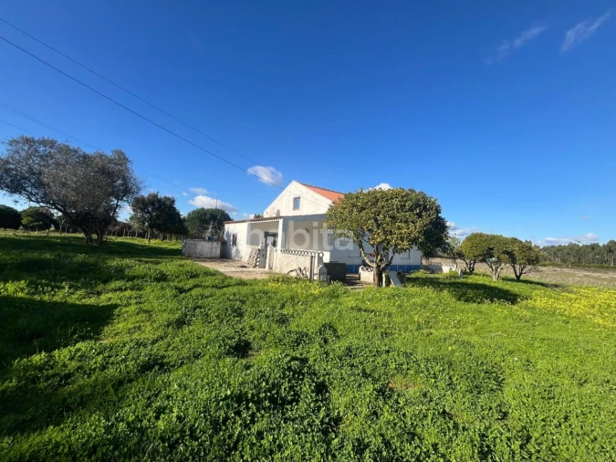 Quinta T2 para Venda em Cercal Foto 9