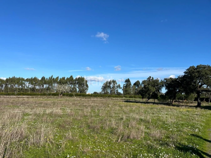 Quinta T2 para Venda em Cercal Foto 13