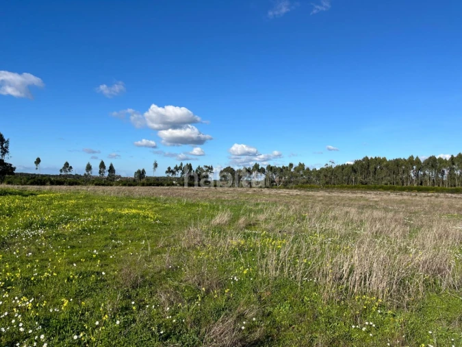 Quinta T2 para Venda em Cercal Foto 15